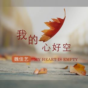 Download track 我的心好空 魏佳艺