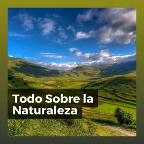 Download track Steep And Narrow Sonidos De La Naturaleza