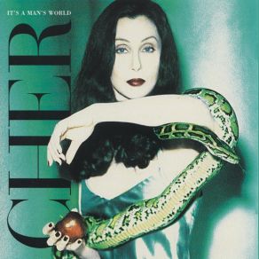 Download track Shape Of Things To Come Cher
