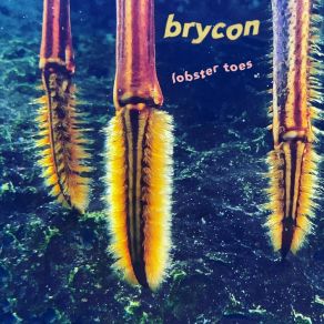 Download track Count Your Breath Brycon