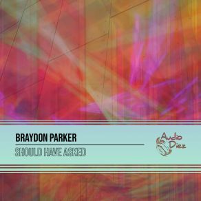 Download track Should Have Asked (Original Mix) Braydon Parker