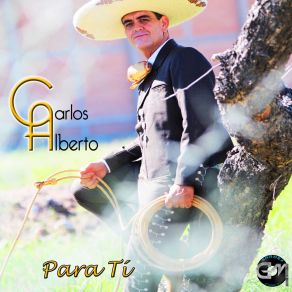 Download track Aprendiste A Volar Carlos Alberto