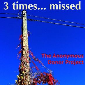 Download track Times Missed The Anonymous Donor Project