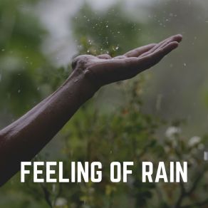 Download track Beautiful Raincoats Rain Sounds For Sleep Aid