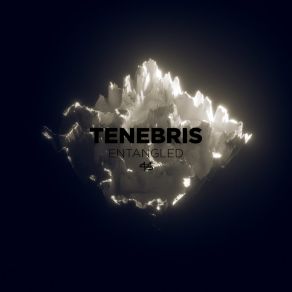 Download track Ice Cage Tenebris