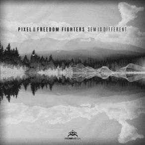 Download track Sem Is Different Pixel, Freedom Fighters