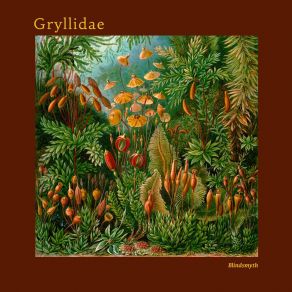 Download track Gryllidae Blindsmyth