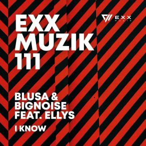 Download track I Know (Radio Edit) Ellys