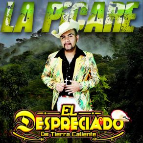 Download track El Huizache El Despreciado De Tierra Caliente