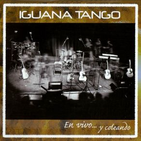 Download track Te Esperaré Iguana Tango