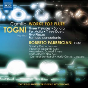 Download track No. 5. Compianto Roberto Fabbriciani