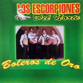 Download track Inicio De Amor Los Escorpiones Del Norte