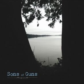 Download track Heather Anne Sons Of Guns