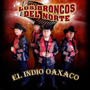 Download track Piquetes De Hormiga Los Broncos Del Norte