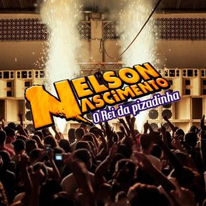 Download track Fazer Beber Nelson Nascimento