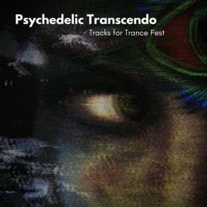 Download track Elements Of Consciousness Goa Trance Fest Project