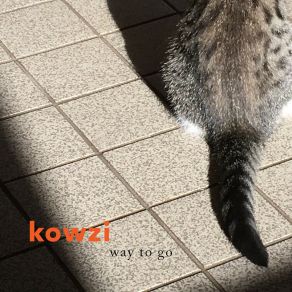 Download track About The Walk Kowzi