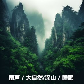 Download track 迷雾森林舒缓雨声，雨落在草丛和树 (平静的山林里传来雨声) Yu Sheng