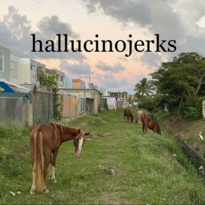 Download track Big Shrug Energy Hallucinojerks