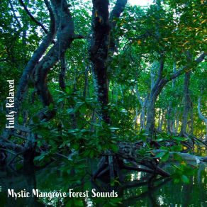 Download track Mystic Mangrove Forest Sounds, Pt. 3 Steve Brassel