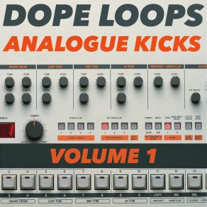 Download track Db Analogue Kick 11 Dope Loops