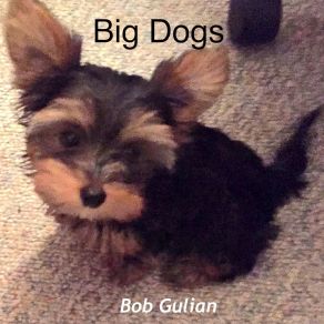 Download track All My Friends Bob Gulian