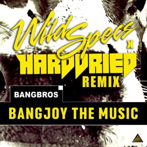 Download track Bangjoy The Music (Wild Specs X Harddried Remix Edit) BangbrosWild Specs, Harddried