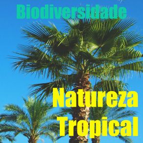 Download track Natureza Tropical Indio