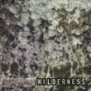 Download track Wilderness Sandbox Percussion, Jerome Begin