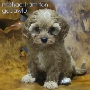 Download track Dream Shrine Michael Hamilton