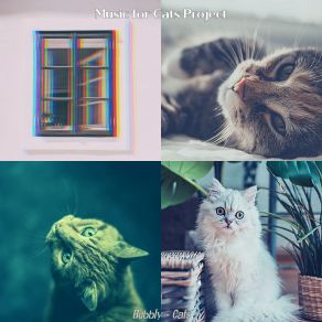 Download track Memories (Kittens) Music For Cats Project