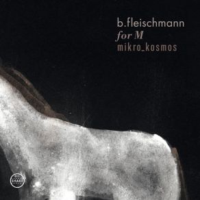 Download track For M - A Tribute To Mark Linkous B. Fleischmann