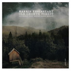 Download track Fir Harris Eisenstadt