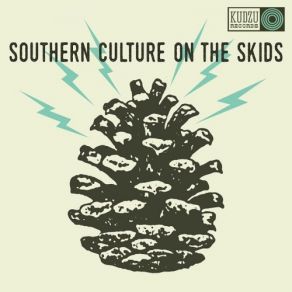 Download track Downward Mobility Southern Culture On The Skids