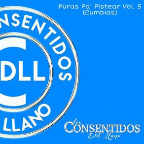 Download track Popurrí Cumbias De Julion (La Maria / Las Mulas De Moreno) (En Vivo) Los Consentidos Del Llano