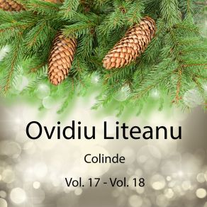 Download track Ninge Lin Ovidiu Liteanu