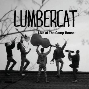 Download track Bill The Beetle (Live) Lumbercat