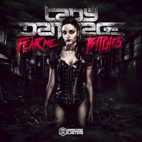 Download track Fuck It Lady Dammage