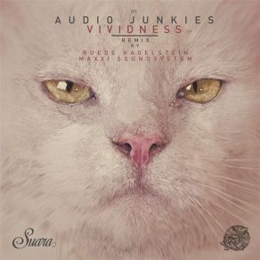 Download track Lalitha (Original Mix) Audio Junkies, HapticSahar Z