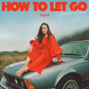 Download track A Driver Saved My Night (Up Close) Sigrid