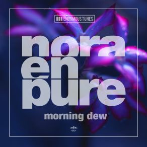 Download track Morning Dew (Original Mix) Nora En Pure