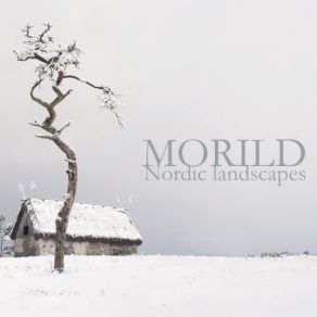 Download track Northern Lights Morild