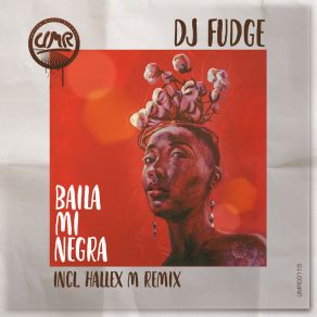 Download track Baila Mi Negra (Instrumental Mix) Dj Fudge