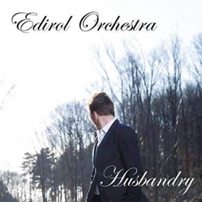 Download track Within The Pale, Pt. 2 Edirol Orchestra