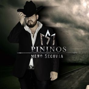 Download track Mi Princesa Acelerada Meño Segovia