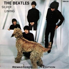 Download track Everybody's Trying To Be My Baby The Beatles