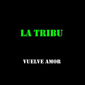 Download track Mi Pequeña Flor La Tribu