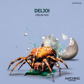 Download track Feelin You Deljoi