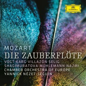 Download track Die Zauberflöte, K. 620 Act 2 Der Hölle Rache Kocht In Meinem Herzen' The Chamber Orchestra Of Europe, Yannick Nézet-Séguin