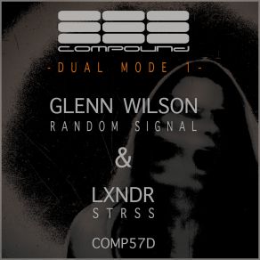 Download track Random Signal Lxndr